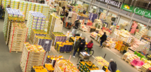Marché d'intérêt national de Rungis