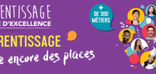 L'apprentissage, voie d'excellence : Il est encore temps
