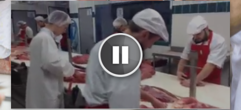 La mode du Mannequin Challenge au CFA