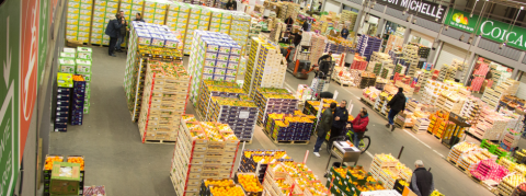 Sortie pédagogique à Rungis pour les cuisiniers et serveurs du CFA Marché d'intérêt national de Rungis