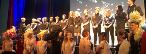 Show Coiffure & Esthétique