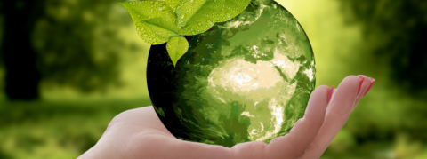 Intervention de Medialane - Santé et développement durable